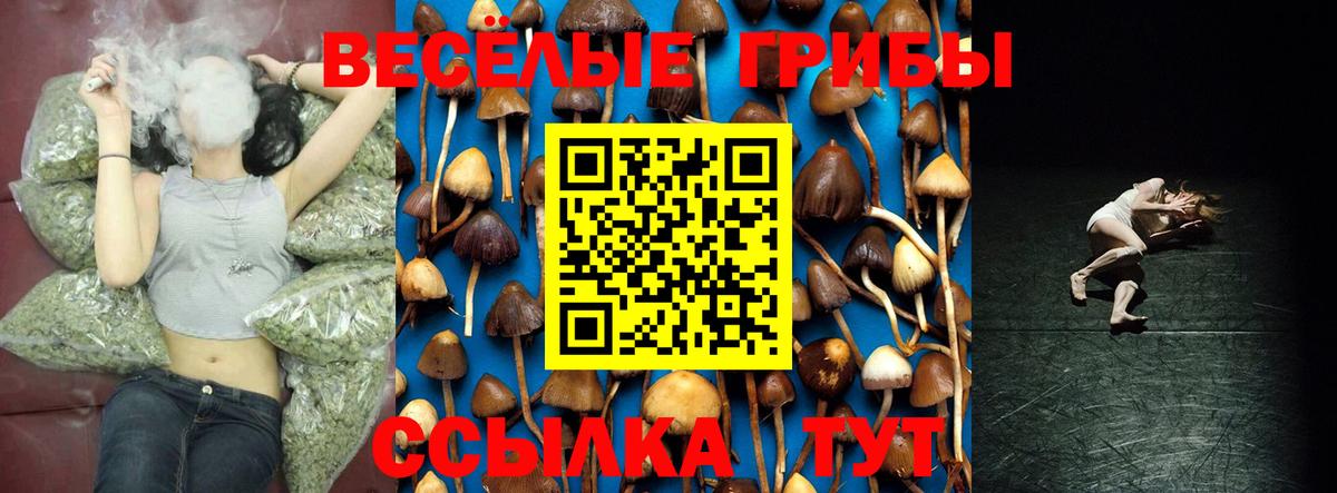 Заволжье  Псилоцибиновые грибы Psilocybine cubensis  Вход с VPN  Псилоцибиновые грибы Cubensis 